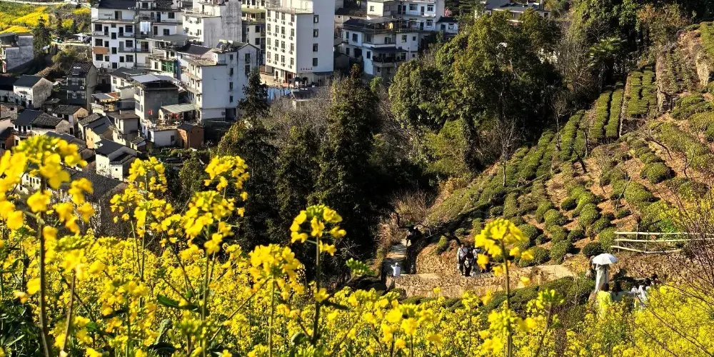 永安旅遊
