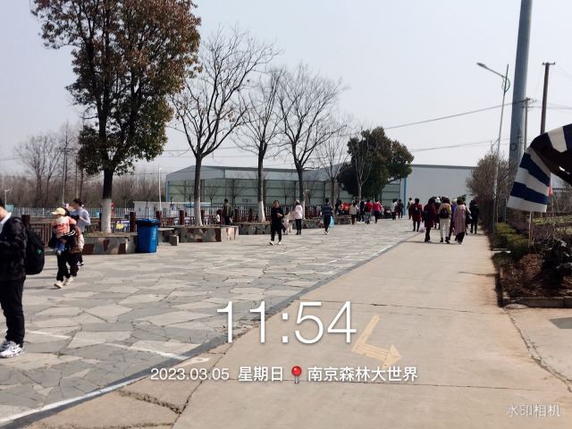 南京森林大世界旅行图片 1