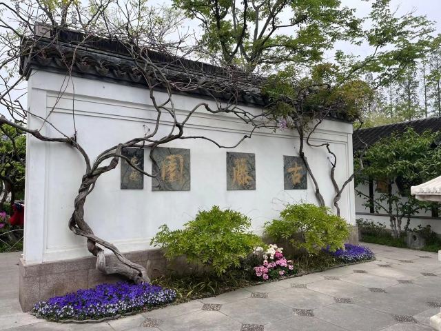 古藤园旅行图片 1