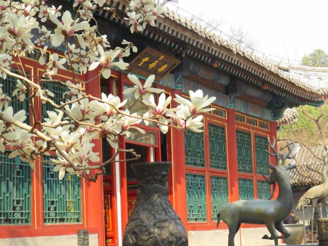 智化寺旅行图片 2