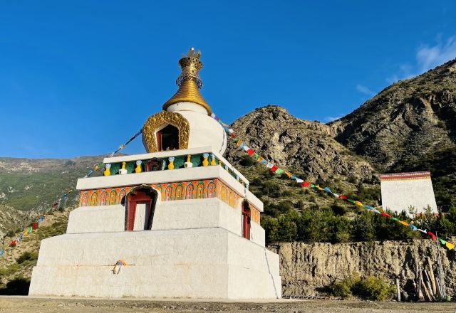 达修寺旅行图片 6