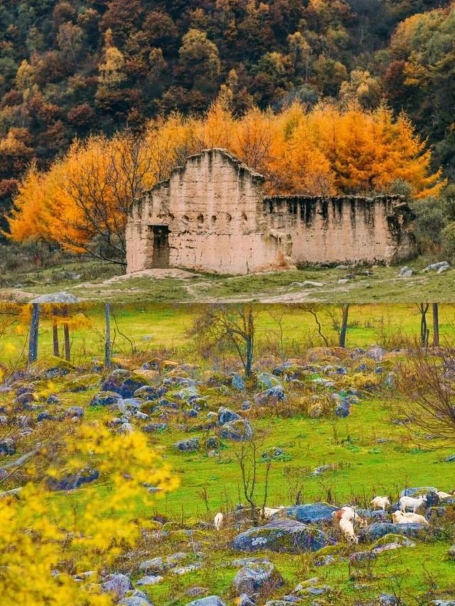秦岭风景区旅行图片 3