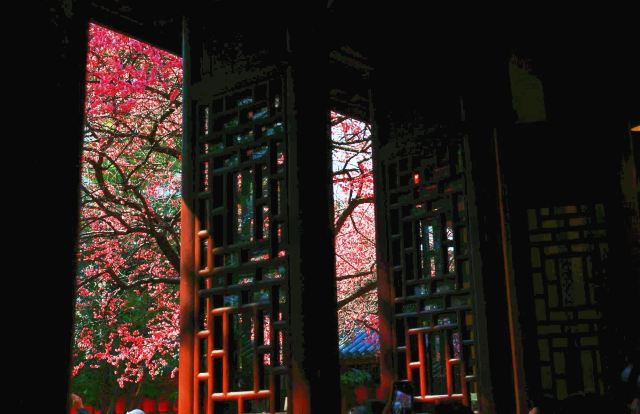湖州铁佛寺旅行图片 9