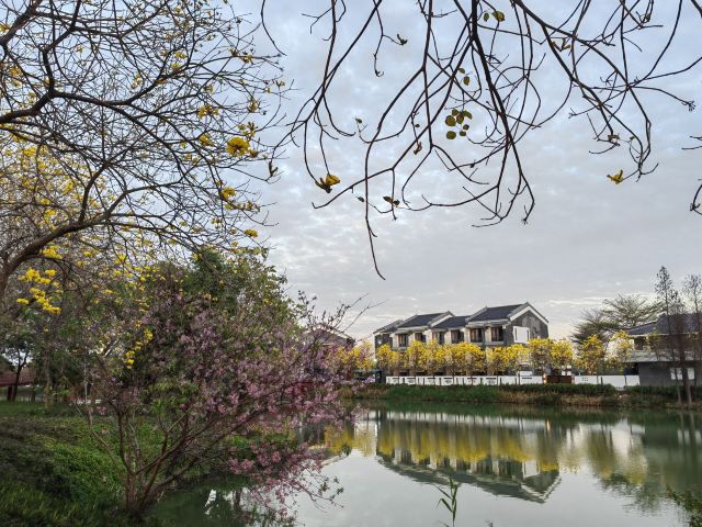 华阳湖国家湿地公园旅行图片 5