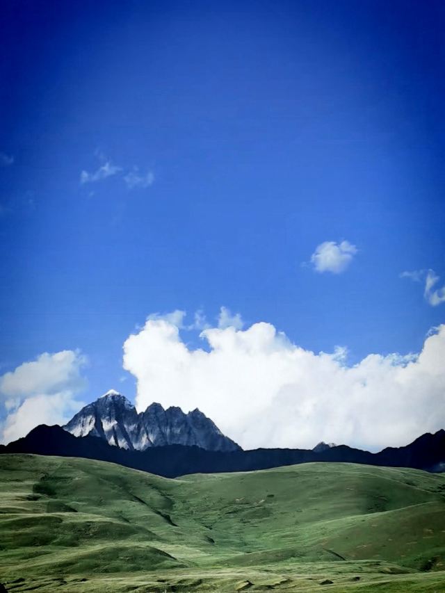 塔公草原旅行图片 4