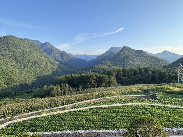 阿巴砦景区旅行图片 9