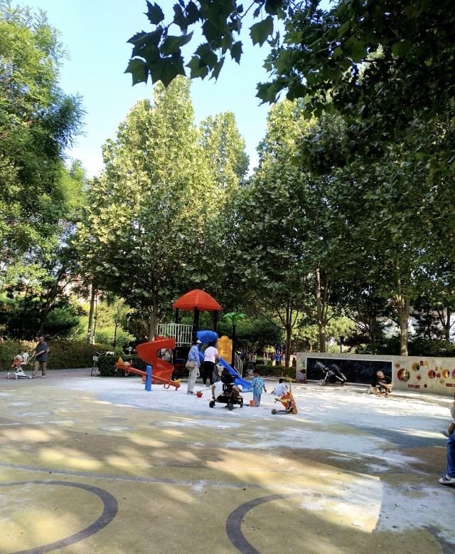 弘善公园旅行图片 3