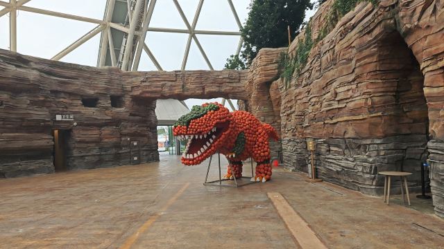 东方伊甸园旅行图片 1