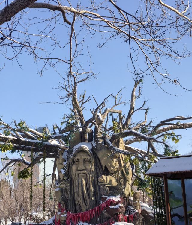 长影世纪城旅行图片 2
