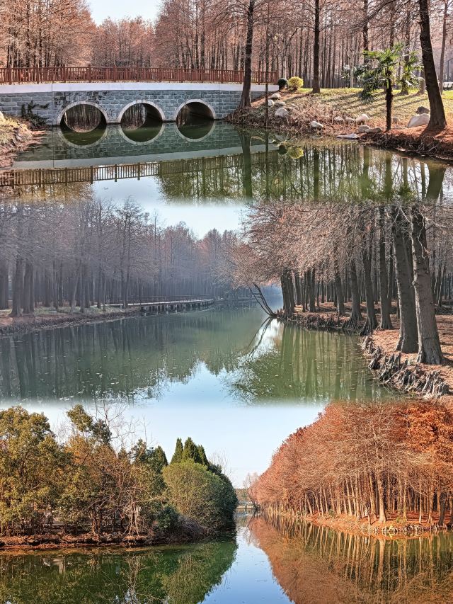 横沔公园旅行图片 5