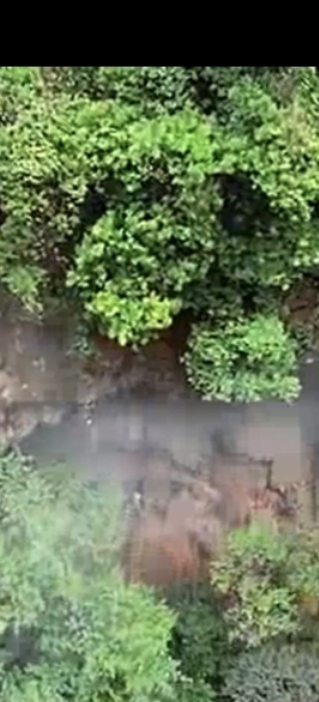 宜良九乡风景区旅行图片 2