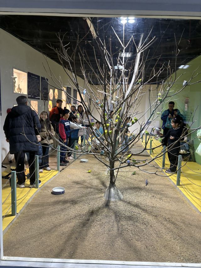 东方明珠公园旅行图片 3