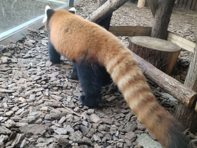茅山森林世界旅行图片 4