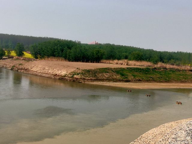 泾渭分明观景台旅行图片 9