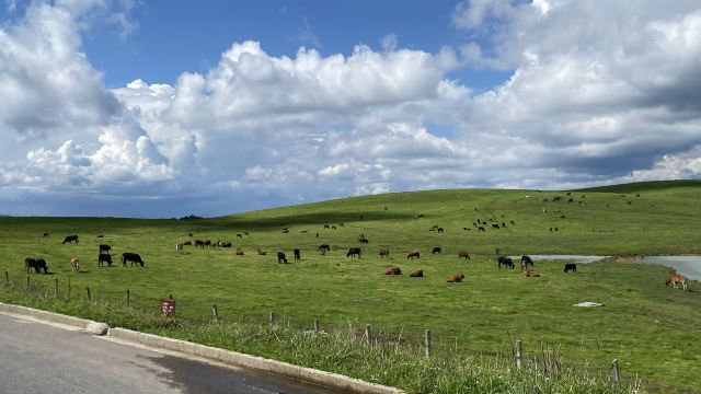 东山国际康养度假区旅行图片 2