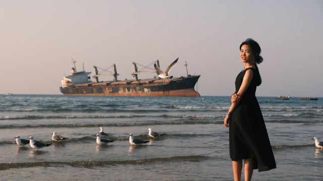 布鲁威斯号搁浅巨轮旅行图片 7