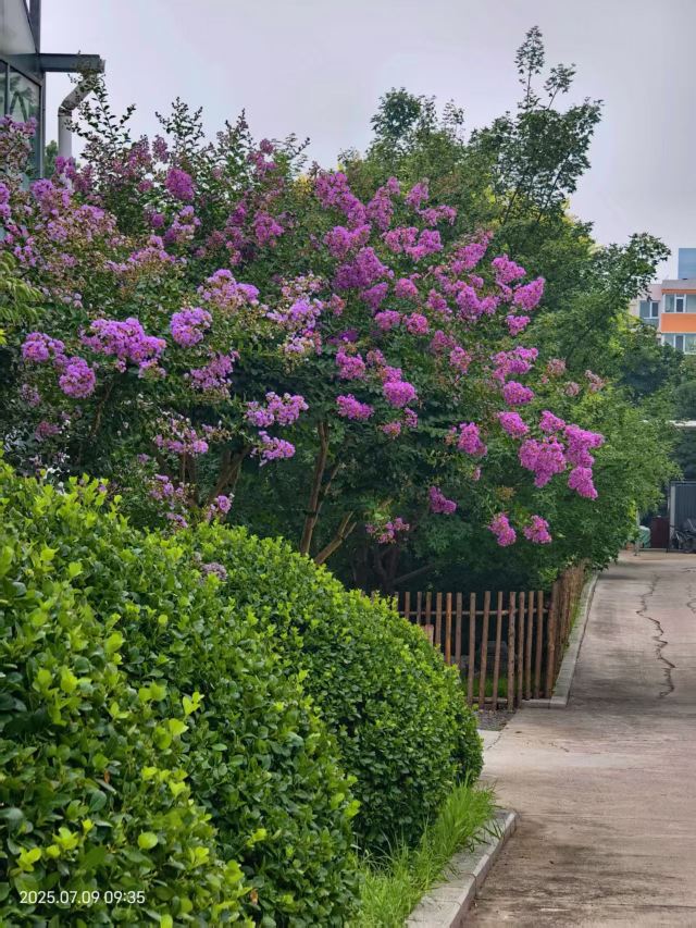 老山城市休闲公园旅行图片 2