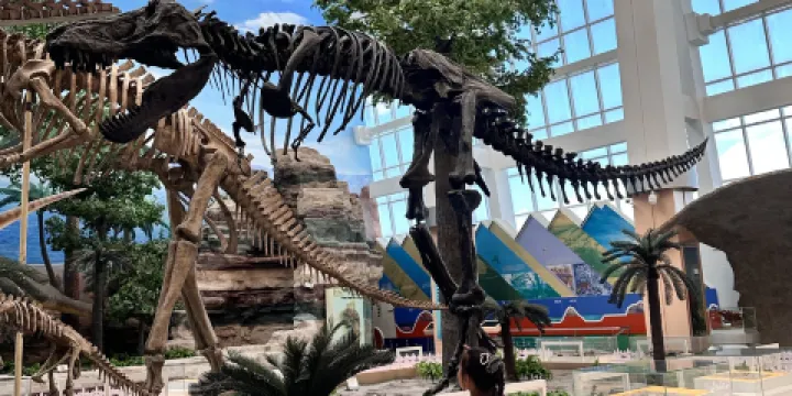 鄂託克旗綜合地質博物館