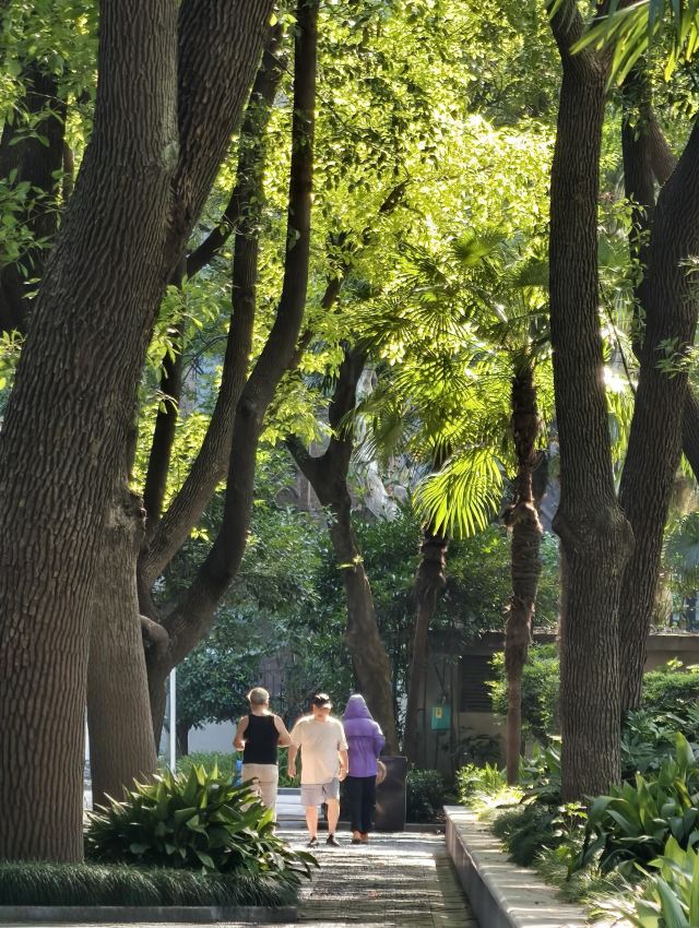 复兴公园旅行图片 5