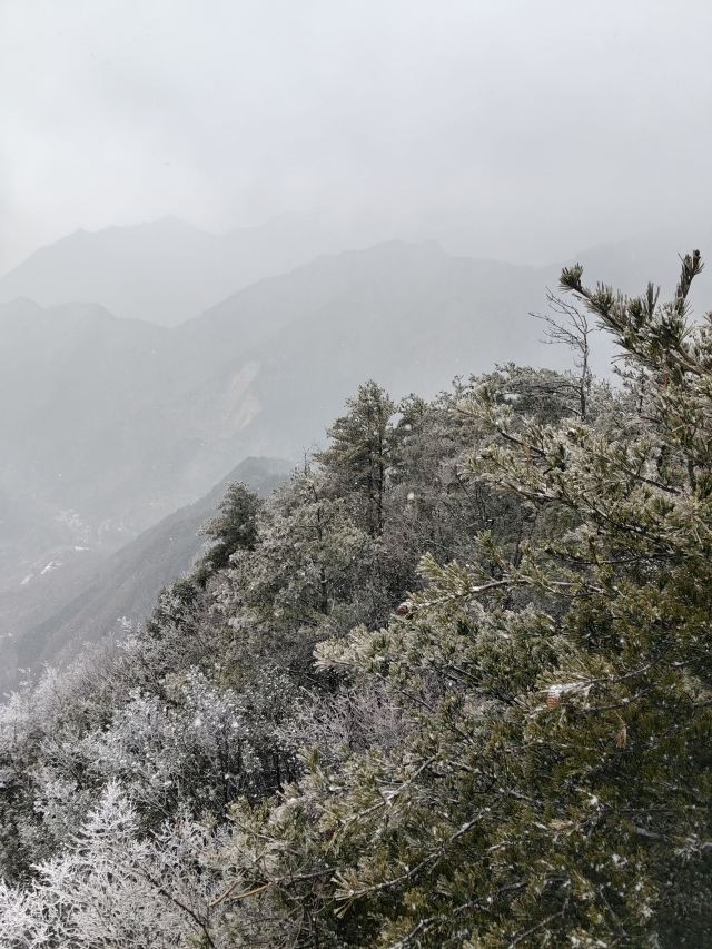 天台国家森林公园天台山索道旅行图片 4