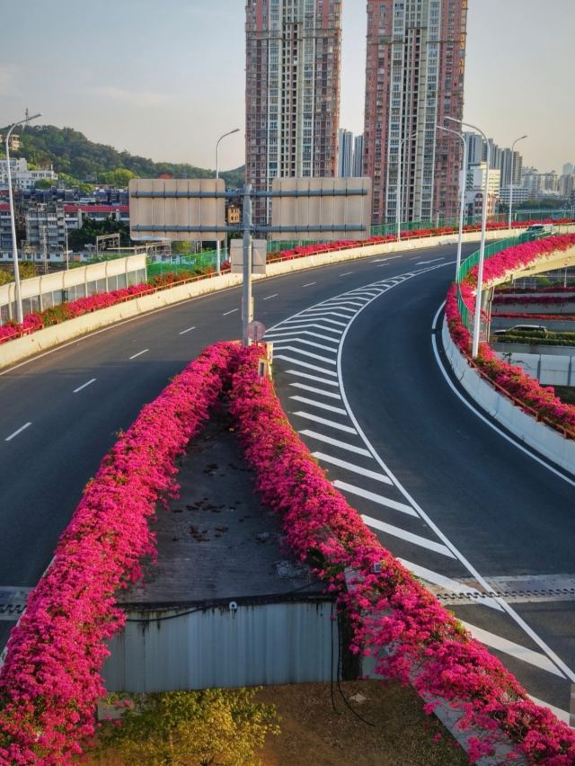 泉州古城旅行图片 12