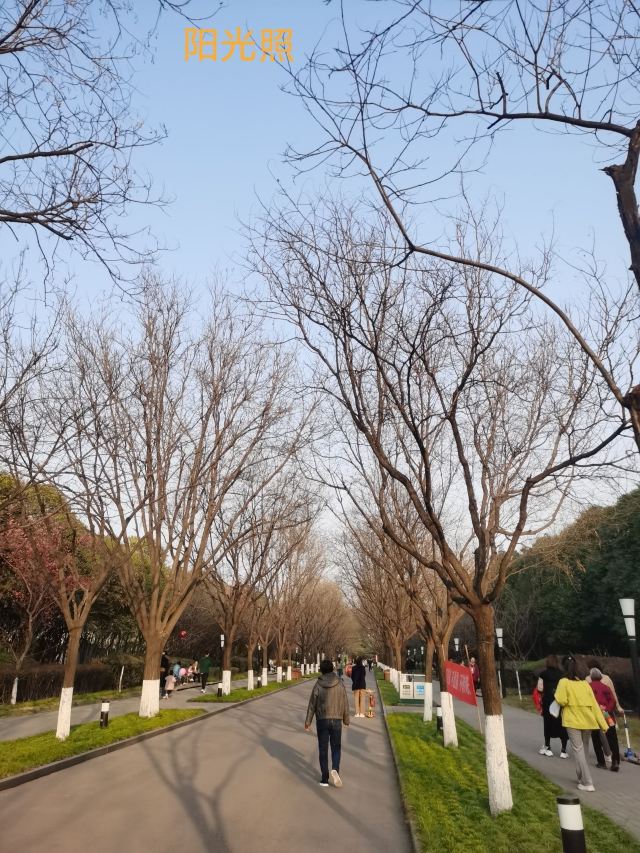 西安城市运动公园旅行图片 4