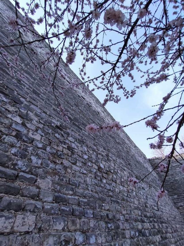 北京明城墙遗址公园旅行图片 14