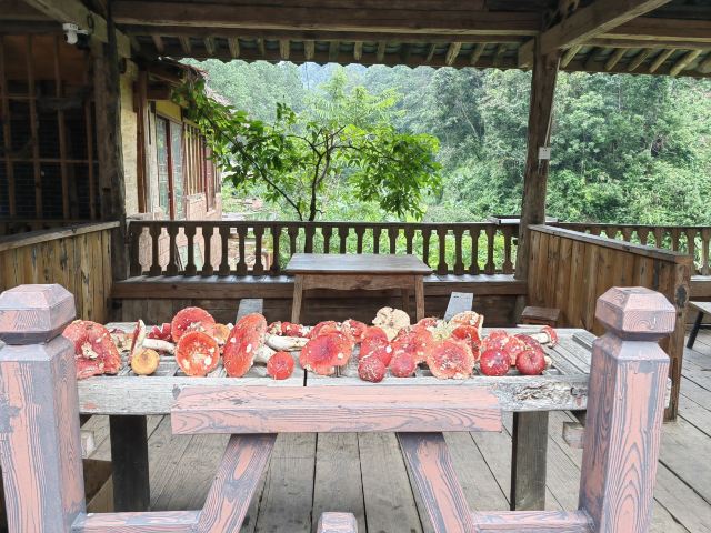 那柯里茶马驿站旅行图片 9