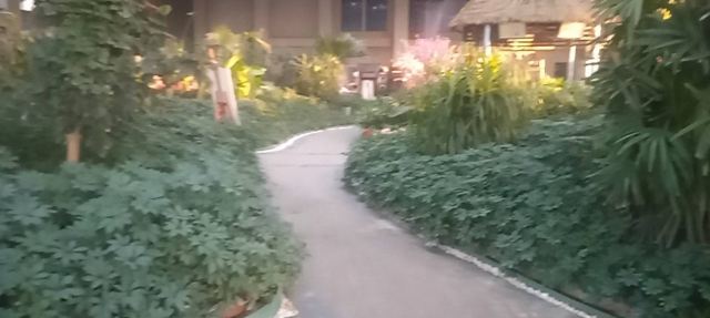 齐河阿尔卡迪亚国际温泉·禹泉旅行图片 1