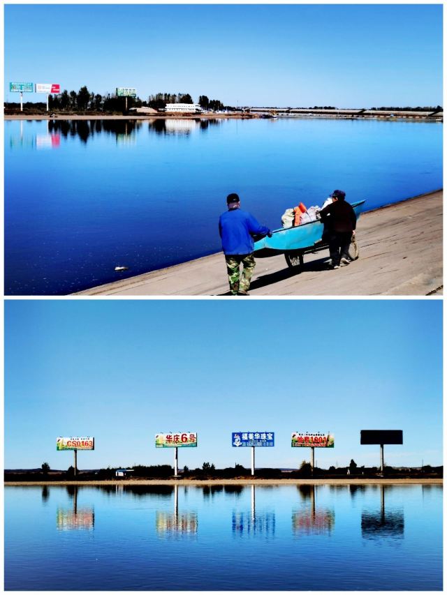 海江公园旅行图片 3