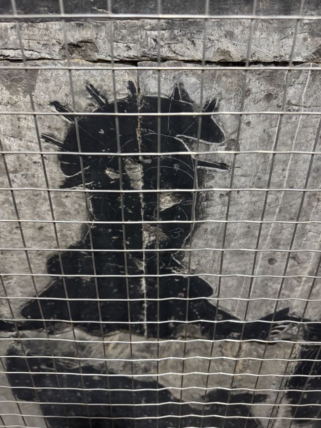 打虎亭汉墓旅行图片 3