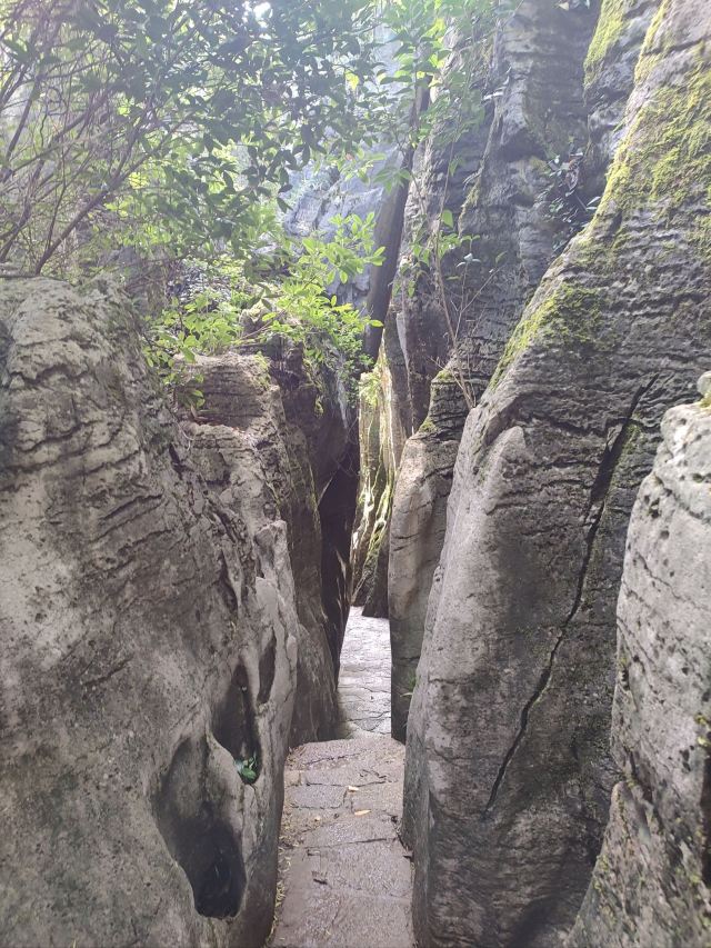 贵阳喀斯特公园旅行图片 3
