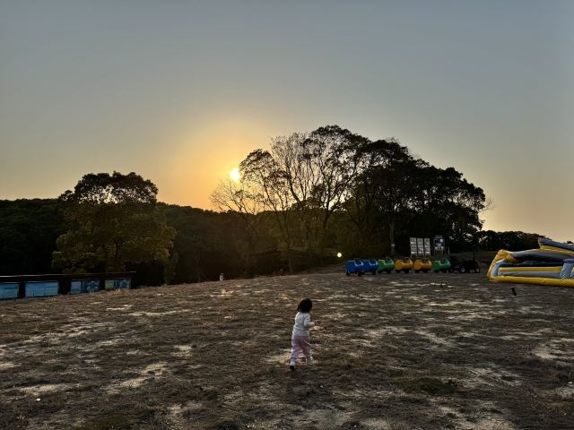 鄱阳湖国际湿地候鸟馆旅行图片 1