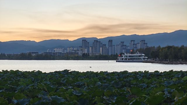 大观公园旅行图片 10