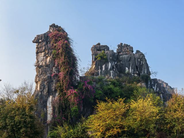 七星景区旅行图片 4