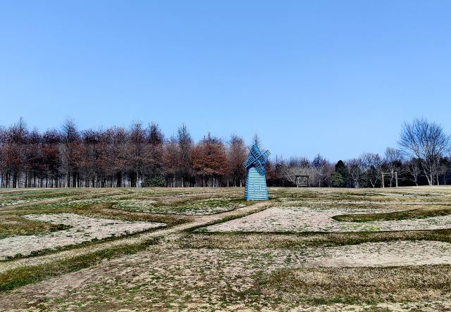 上海东滩湿地公园旅行图片 3
