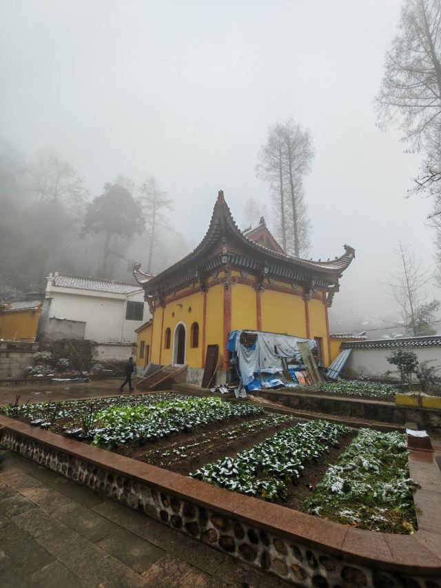 颜神古镇旅行图片 2