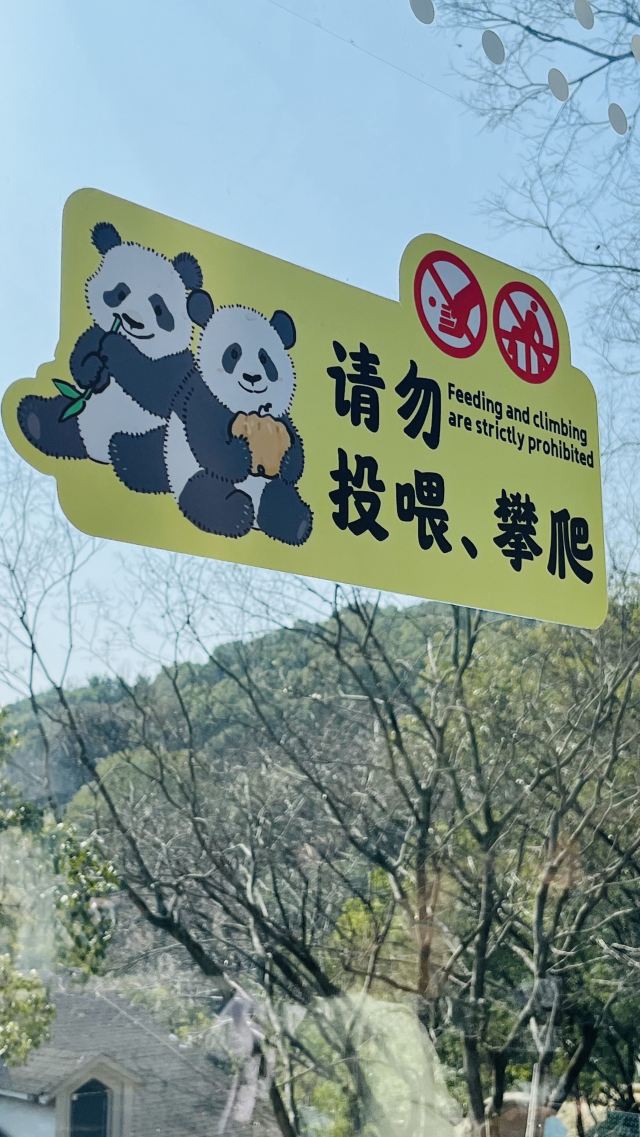 大熊猫馆旅行图片 1