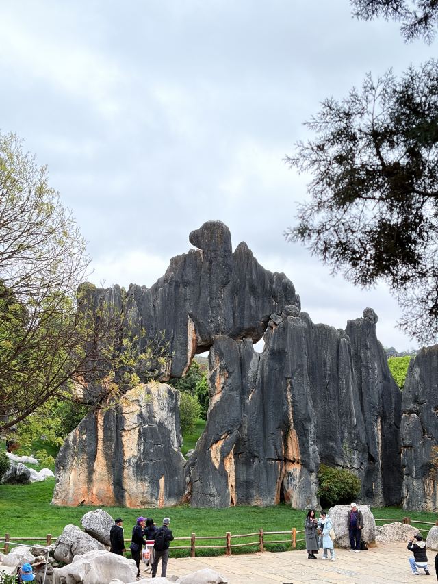 石林风景区旅行图片 2