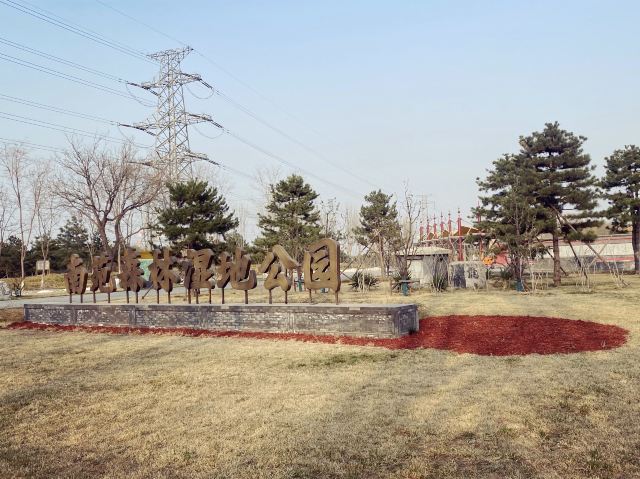 南苑森林湿地公园旅行图片 1