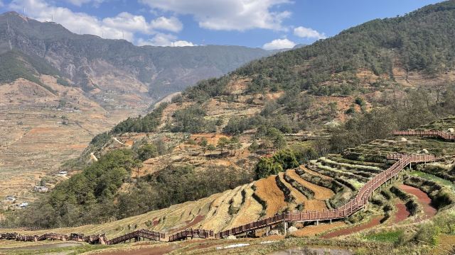 新山梯田旅行图片 9