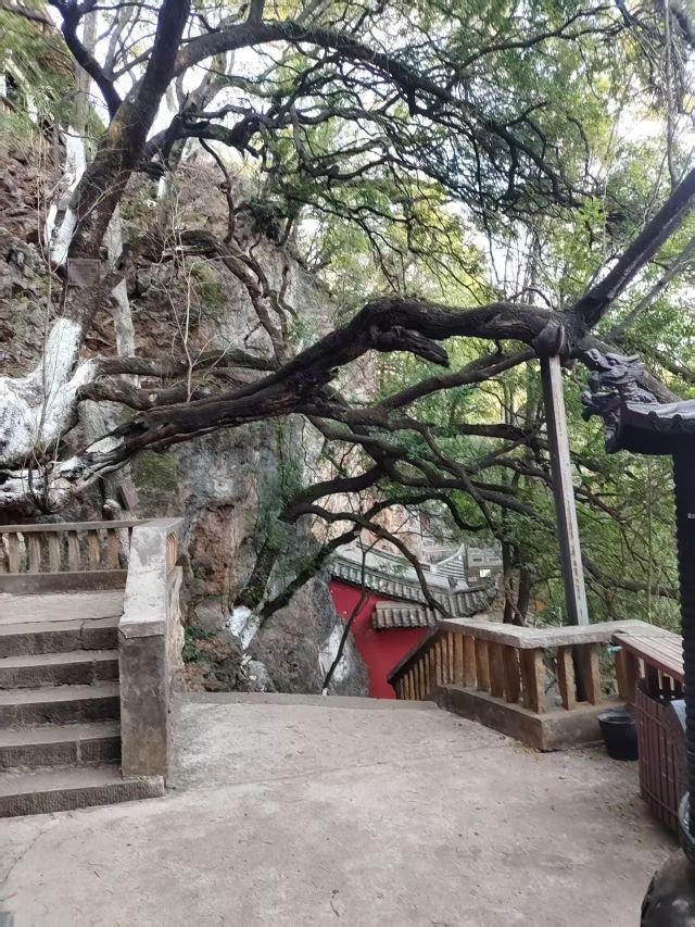 玉溪九龙池古建筑群-九龙宫旅行图片 5