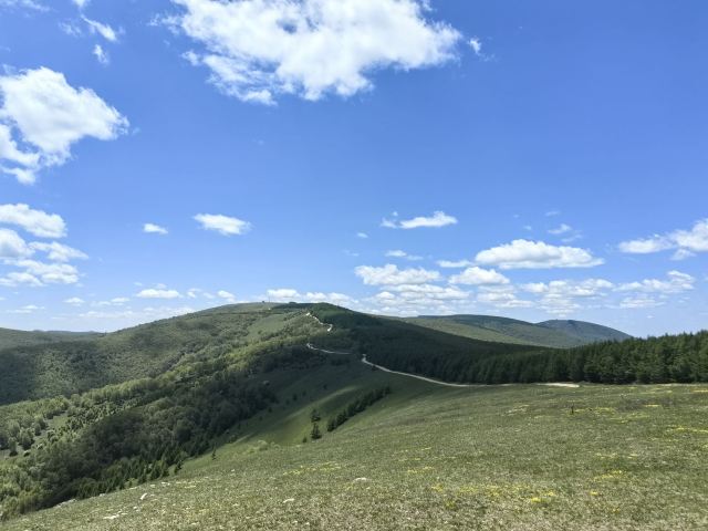 黄岗梁国家森林公园旅行图片 15
