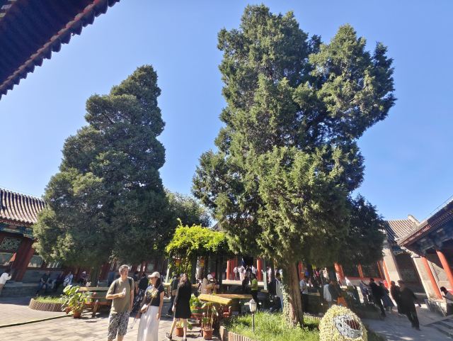 铁山寺国家森林公园旅行图片 3