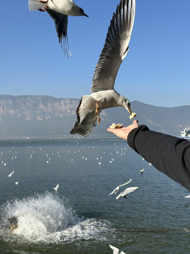 海洪湿地泼水广场旅行图片 2