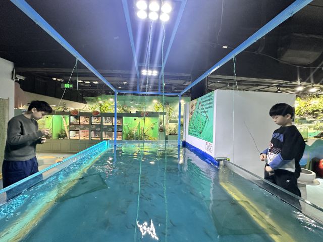 东方明珠公园旅行图片 2