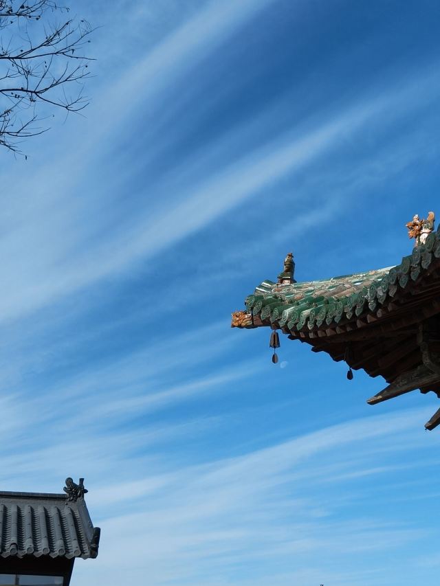 净土寺旅行图片 1