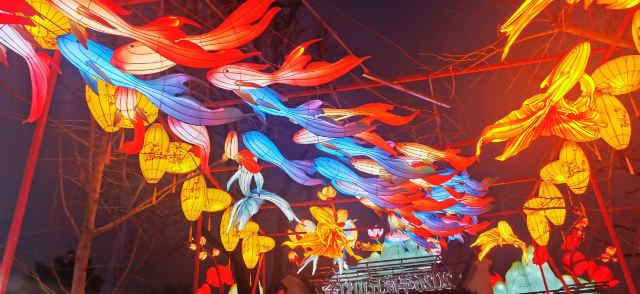 虎丘山风景区旅行图片 3