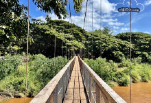 Menehune Ditch - Swinging Bridge景点图片