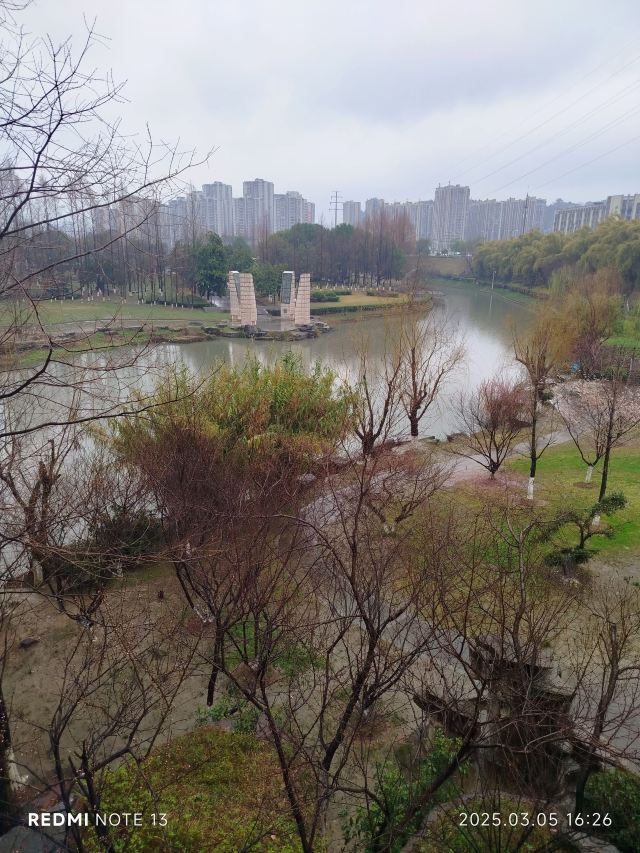 紫舞公园旅行图片 1